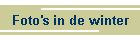 Foto's in de winter