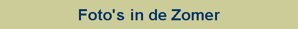 Foto's in de Zomer